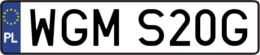 WGMS20G