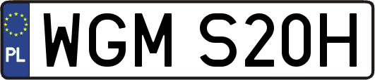 WGMS20H