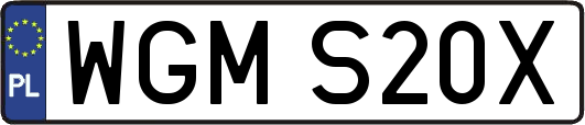 WGMS20X