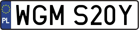 WGMS20Y