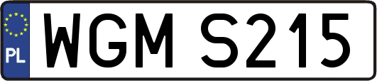 WGMS215