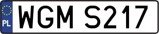 WGMS217