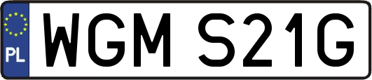WGMS21G