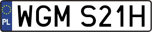 WGMS21H