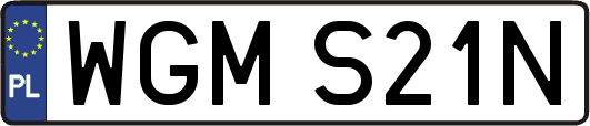 WGMS21N
