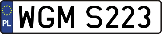 WGMS223