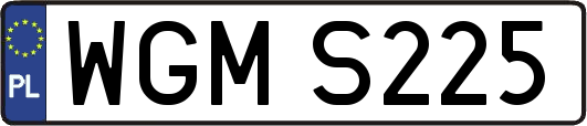 WGMS225