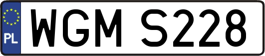 WGMS228