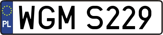WGMS229