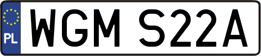 WGMS22A