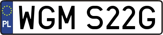 WGMS22G