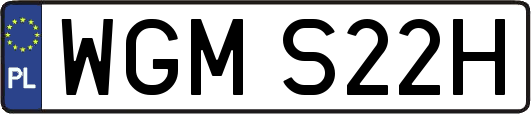 WGMS22H