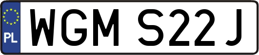WGMS22J