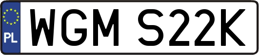 WGMS22K