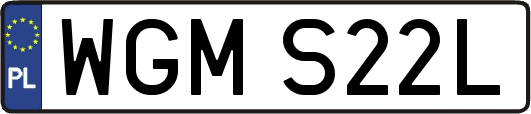 WGMS22L