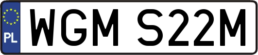 WGMS22M