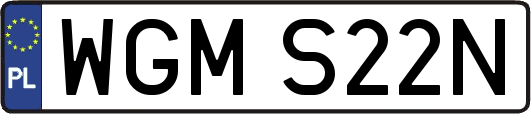 WGMS22N