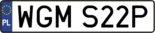 WGMS22P
