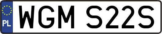 WGMS22S