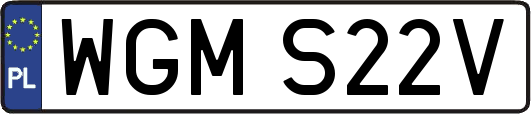WGMS22V