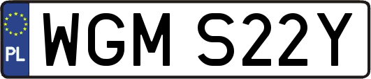 WGMS22Y