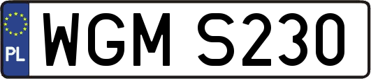 WGMS230