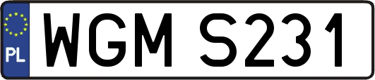 WGMS231