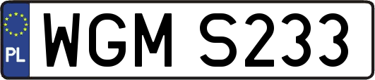 WGMS233