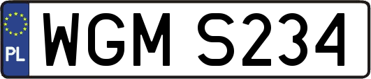 WGMS234