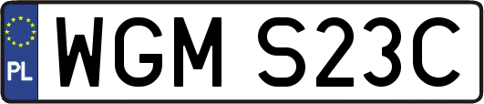 WGMS23C