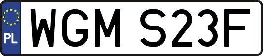 WGMS23F