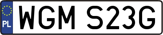 WGMS23G