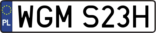 WGMS23H