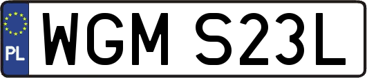WGMS23L
