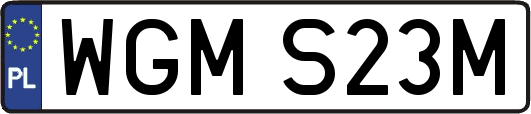 WGMS23M