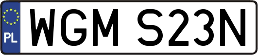 WGMS23N