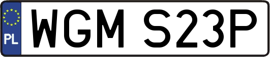 WGMS23P
