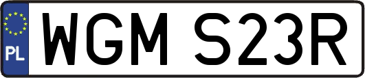 WGMS23R