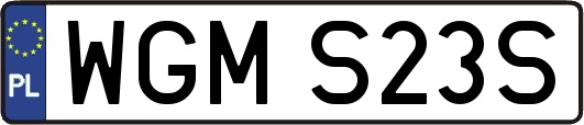 WGMS23S