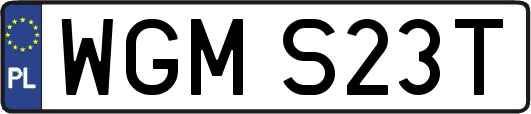 WGMS23T