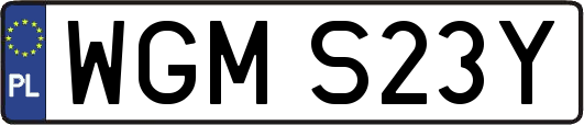 WGMS23Y