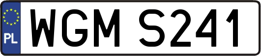 WGMS241