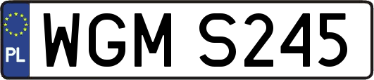 WGMS245