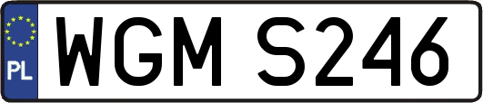 WGMS246