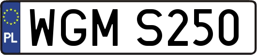 WGMS250