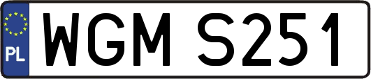 WGMS251