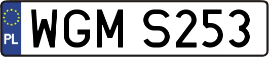 WGMS253