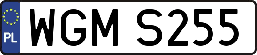 WGMS255