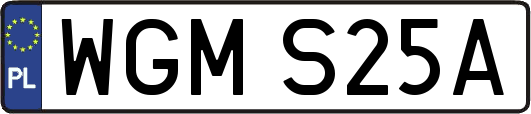 WGMS25A