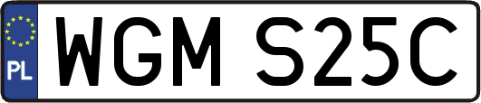 WGMS25C